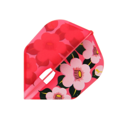 ǰ 